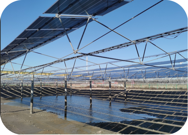 Custom Flexible Solar Mounting Systems from China: Innovative Solutions for Renewable Energy Custom Flexible Solar Mounting Systems from China: Innovative Solutions for Renewable Energy